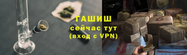 сатива Арсеньев