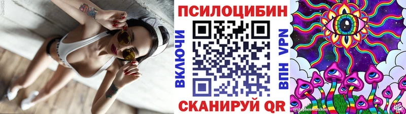 mega зеркало  где купить наркоту  Зея  Галлюциногенные грибы прущие грибы 